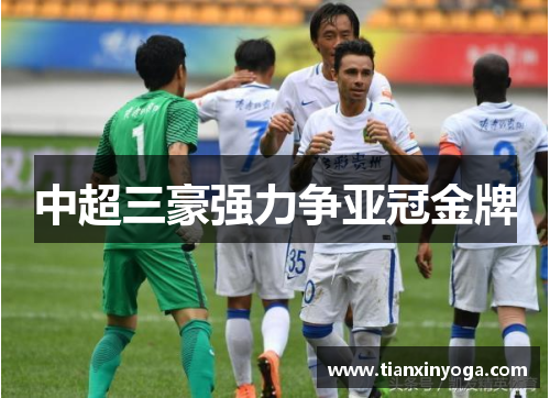 中超三豪强力争亚冠金牌